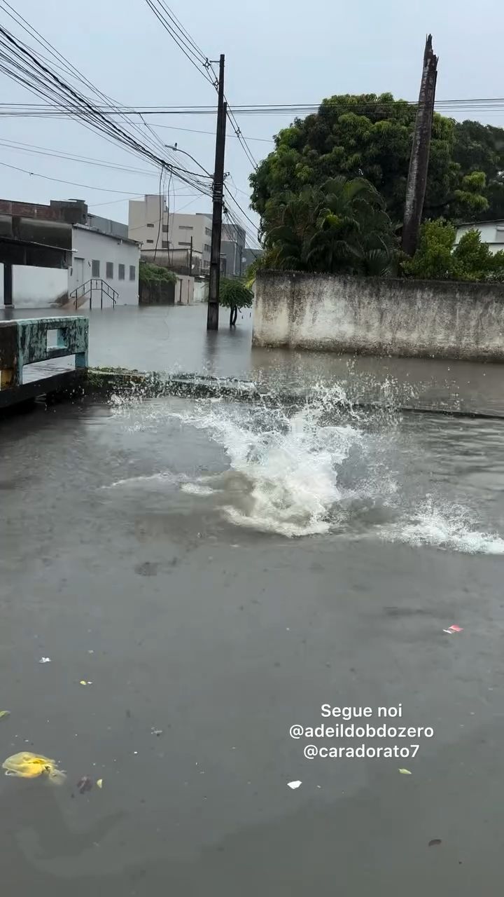 Um lugar não muito apropriado para nadar